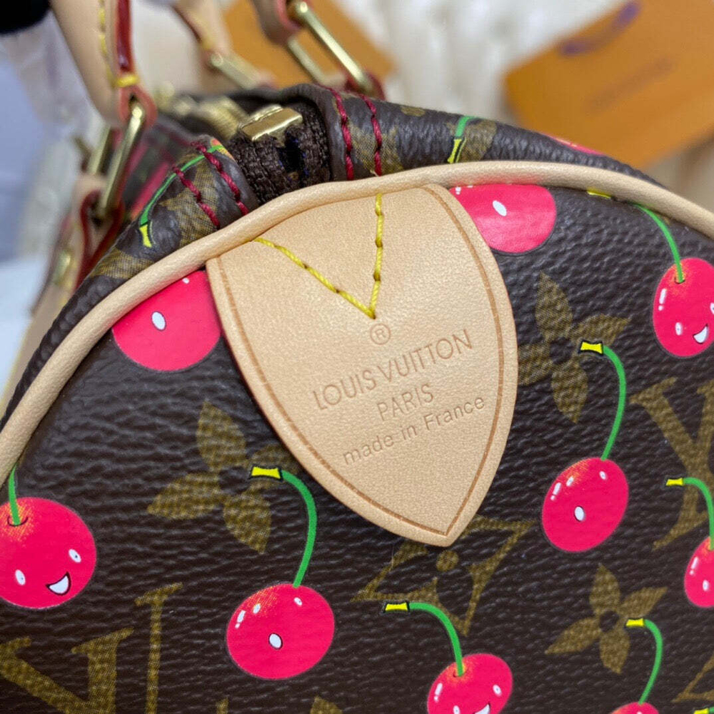 Louis Vuitton Speedy 25