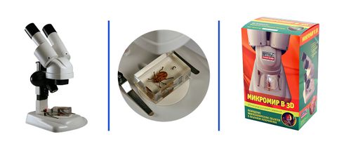 Набор "Микромир в 3D"
