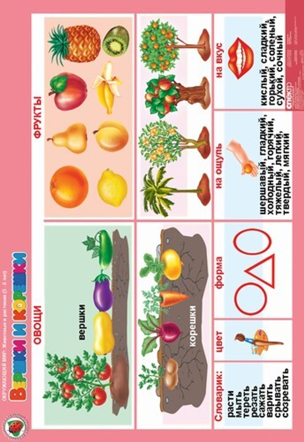 Комплект таблиц Окружающий мир 5-6 лет "Животные и растения" (12 таблиц+16 карт.)