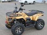 Квадроцикл IRBIS ATV200 PREMIUM