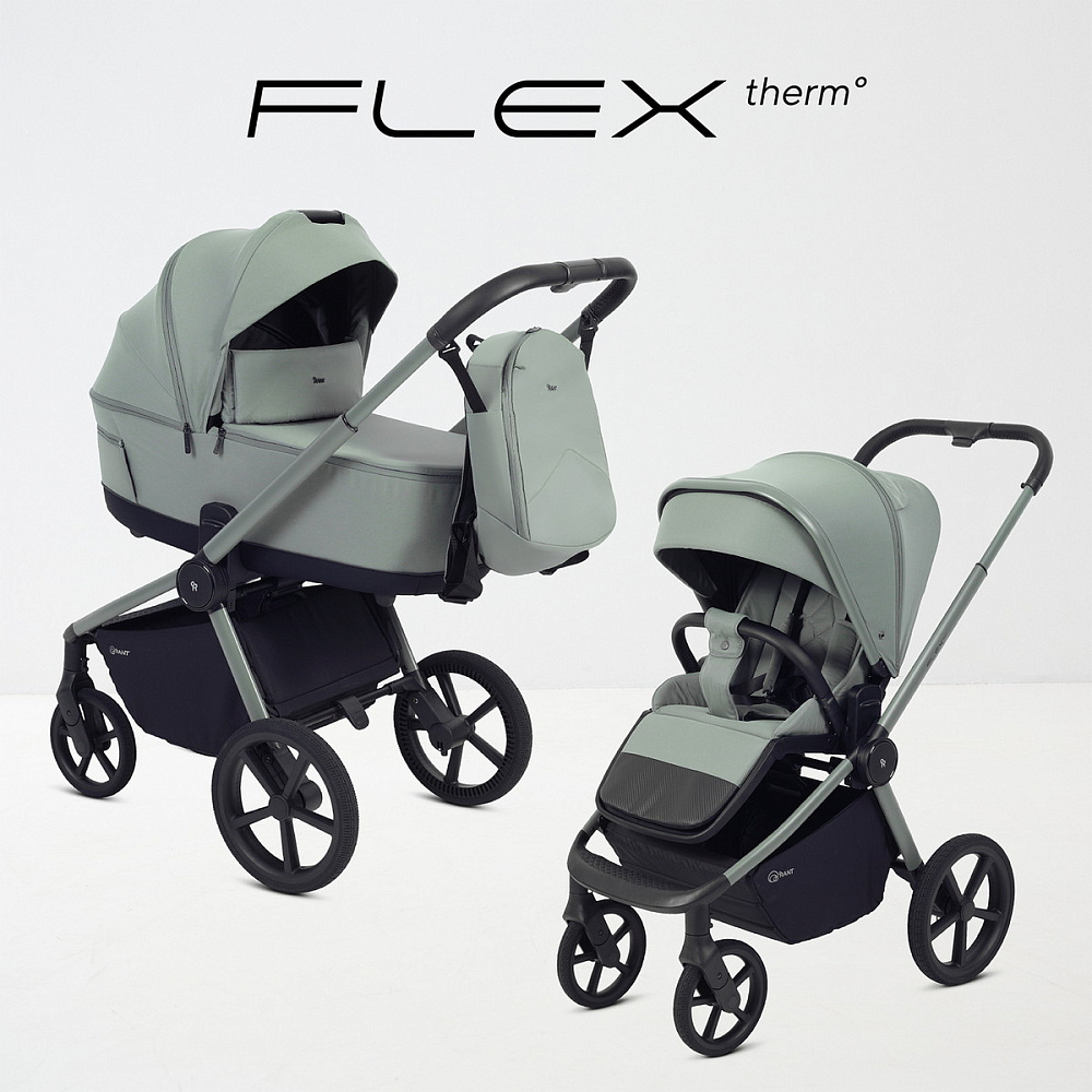 Детская коляска Rant Flex Therm Soft 3 в 1 с автокреслом Cruise Grey Forest Green