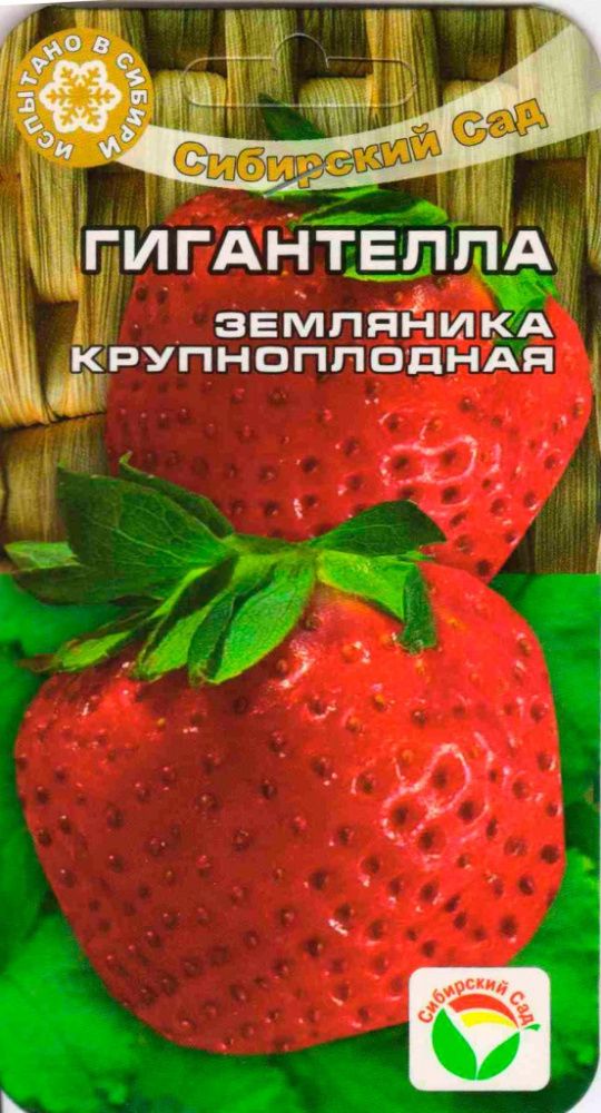 СЕМЕНА КЛУБНИКА ГИГАНТЕЛЛА 10 ШТ
