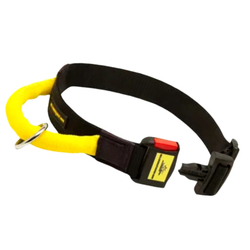 Ошейник  нейлоновый с ручкой и  быстросъемной пряжкой Fordogtrainers