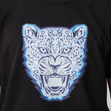BARYS