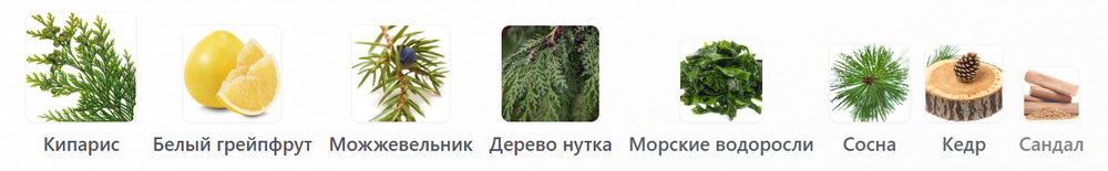 Pineward Icefall 32 мл