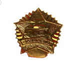 Значок Дембель (черная звезда)