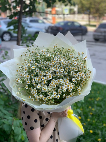 Букет цветов Монобукет полевых ромашек