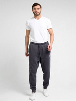 Брюки спортивные F5