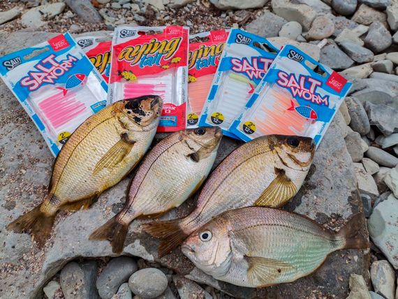 Черви съедоб. искусст. LJ  Salt Water AYING TAIL 2.0in (05,00)/S30 12шт.