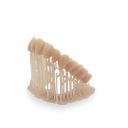 Dental Sand