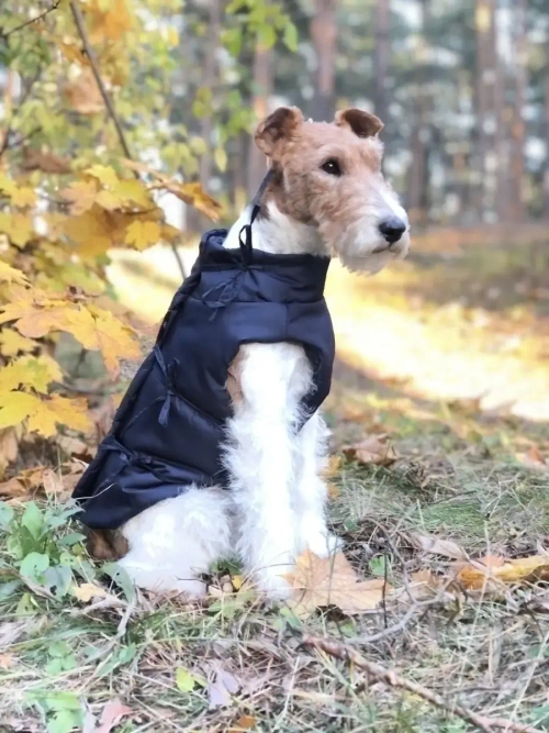 Жилет для собак мелких средних крупных пород для такс осень