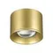 358669 OVER NT21 444 золото Светильник накладной светодиодный IP20 LED 4000К 12W 220V PATERA