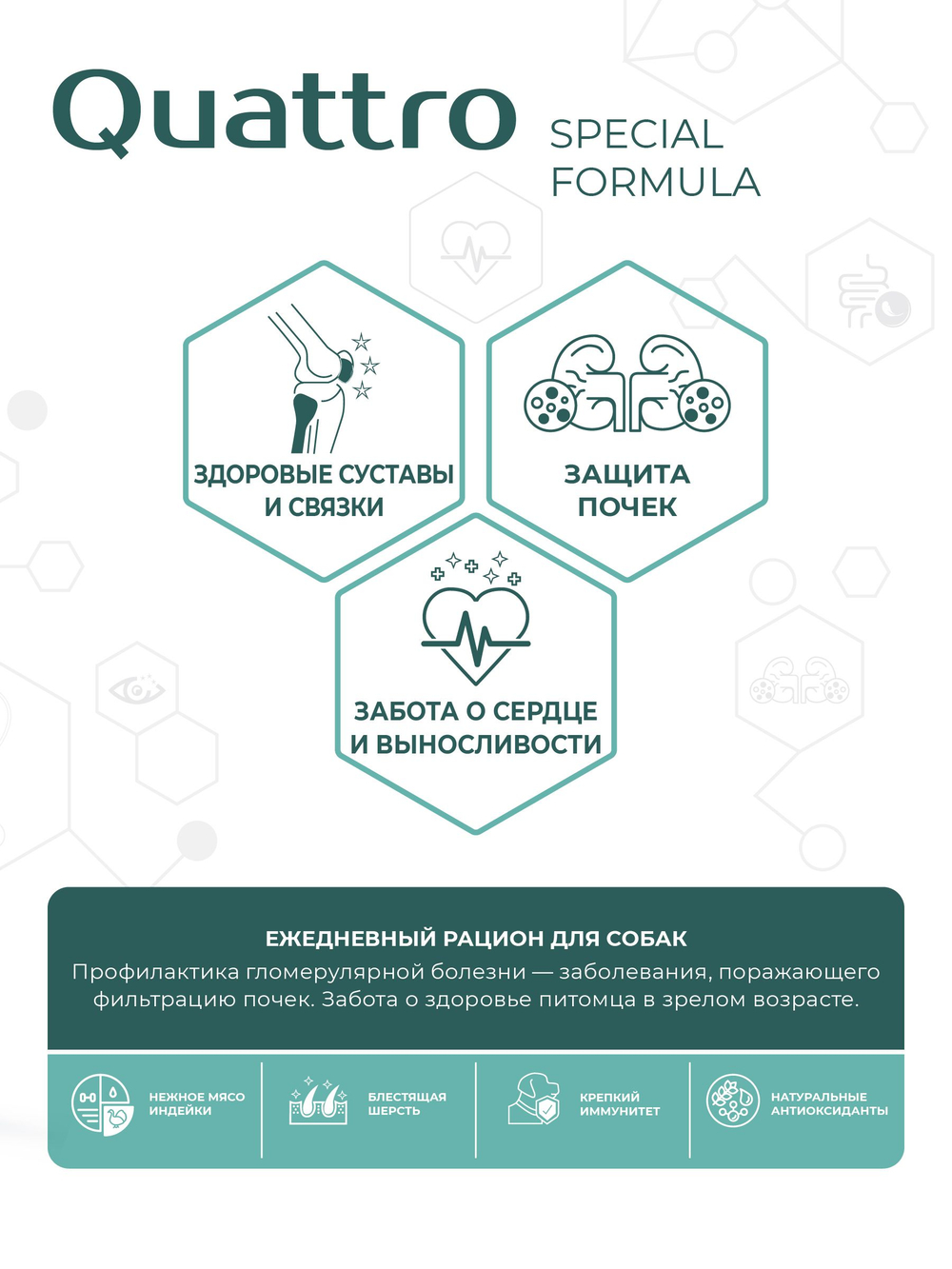 Корм для собак средних и крупных пород SF Renal Shield, (гломерулярная болезнь), 3 кг, QUATTRO