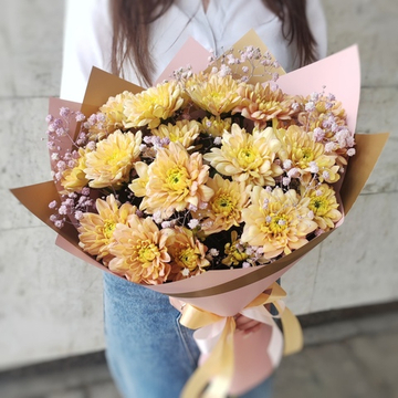 Букет из 5 кустовых хризантем сорта "SALMON" и цветной гипсофилой