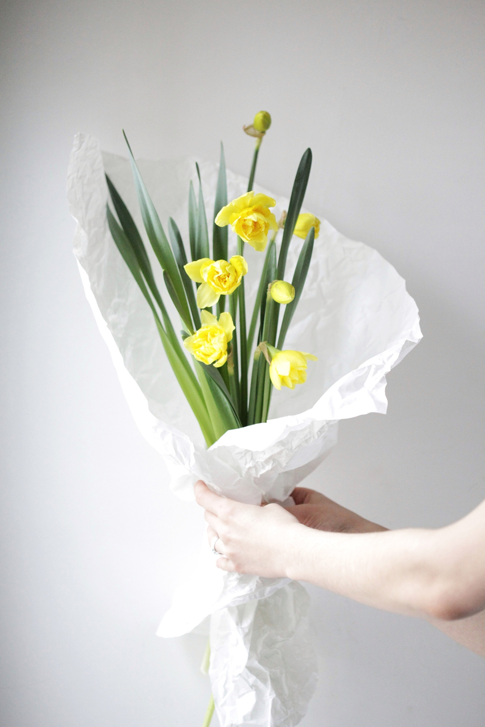 Монобукет s Нарциссы