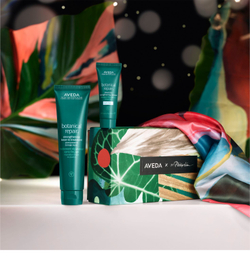 Aveda Botanical Repair Strenghthening Treatment Duo Light - подарочный набор (для волос) /   / GTIN 018084043233