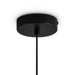 Подвесной светильник Freya FR5593PL-01B1