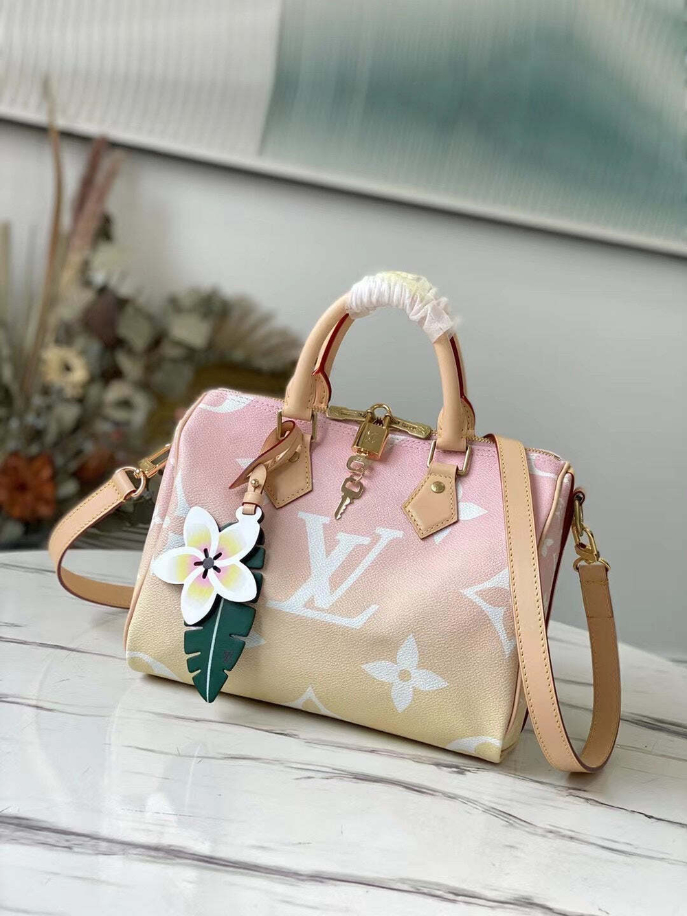 Louis Vuitton Speedy 25