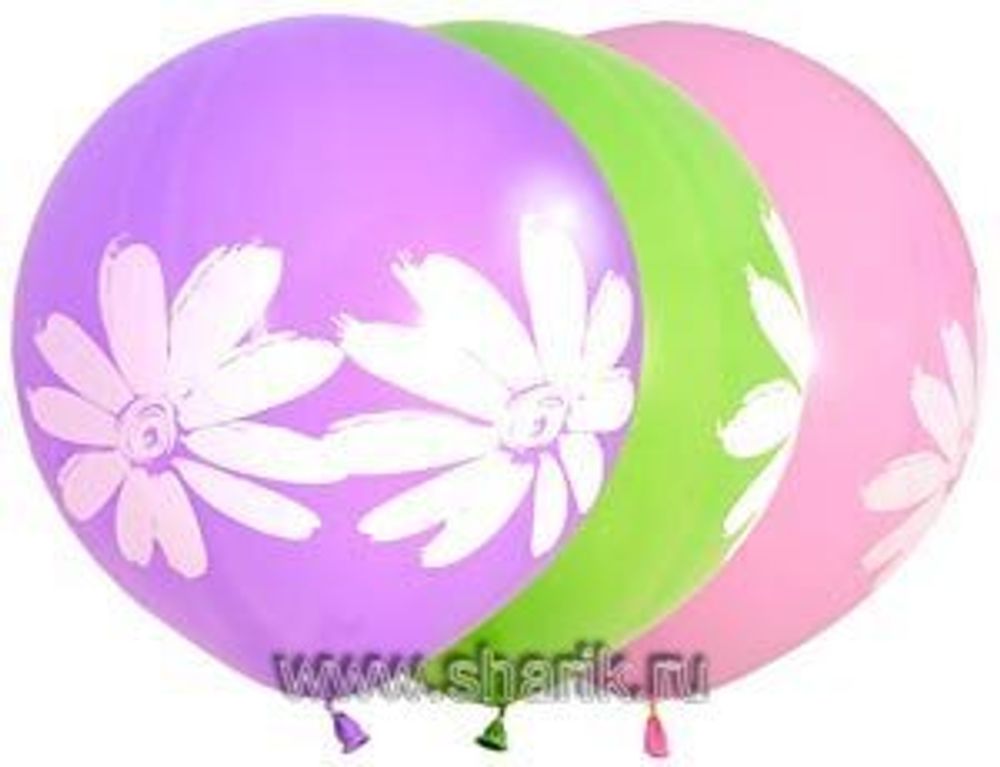 Шар (18"/46 см) Ромашки 4-х сторонние 6 шт.