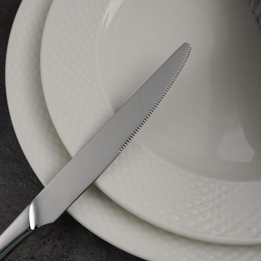 Нож столовый 22,5 см   P.L. Proff Cuisine [12]