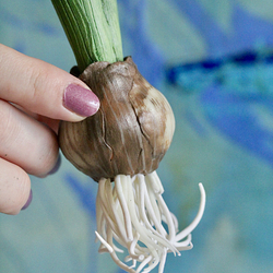 Глина Claycraft by DECO Silky smooth (гладкая)