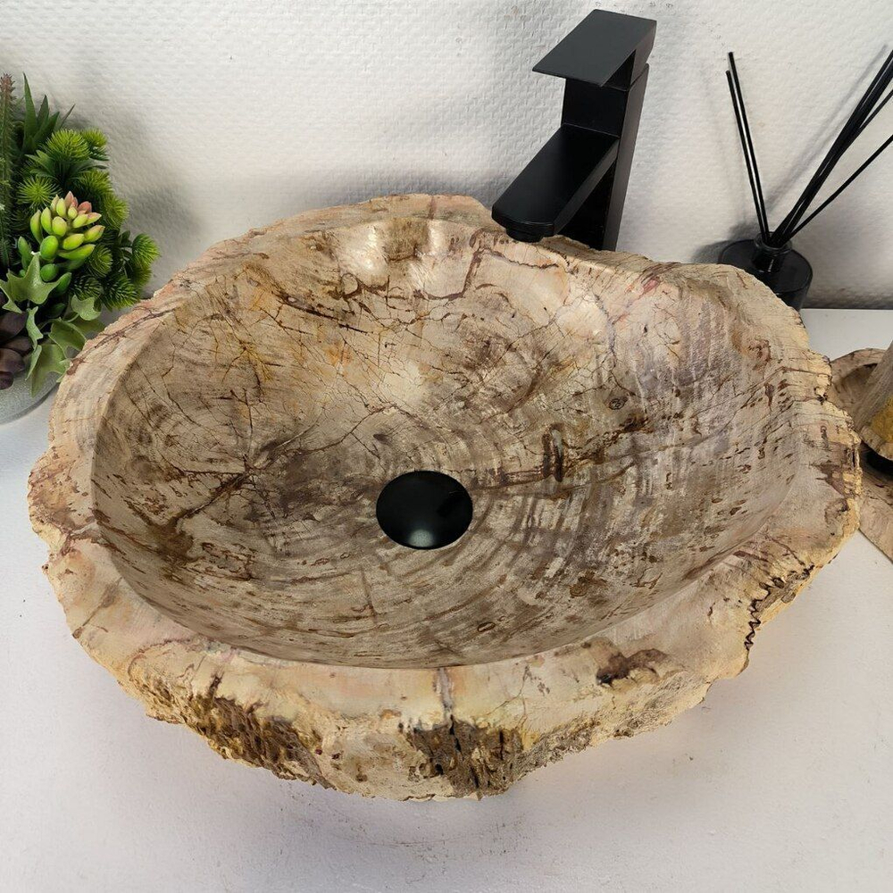 Каменная раковина из окаменелого дерева OD-04350 (47*42*16) 0175 из натурального камня
