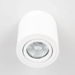 Citilux Дюрен CL538111 Светильник накладной поворотный Белый