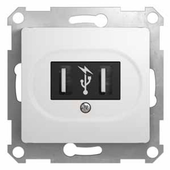 Розетка USB 1-м СП Glossa механизм бел. SchE GSL000132