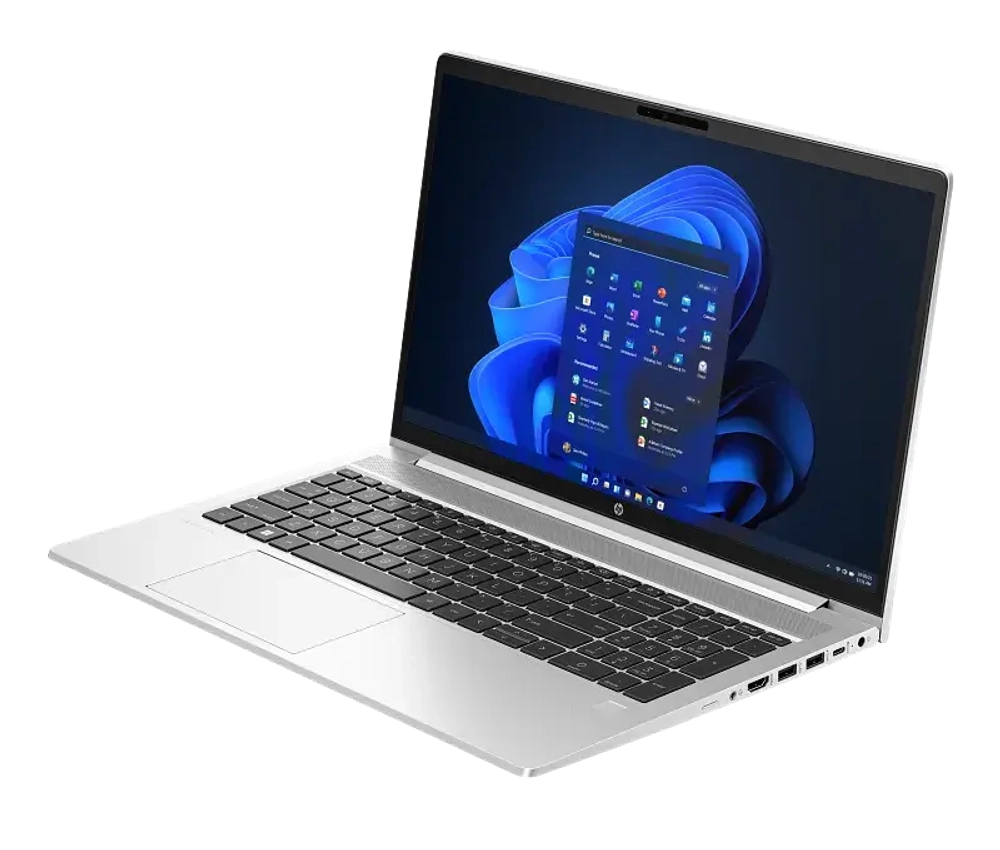 Ноутбук HP ProBook 455 G10 (816P9EA)