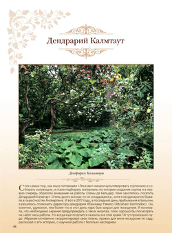 Гортензия. Факты в историях