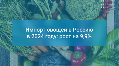 Импорт овощей в Россию в 2024 году: рост на 9,9%