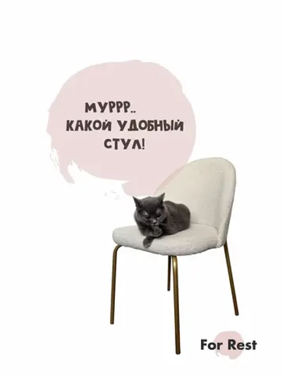 Стул мягкий Букле для кухни со спинкой Золотые ножки