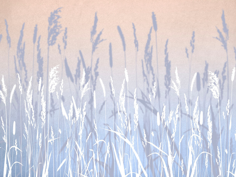 Дизайнерские обои Wall Street Essence