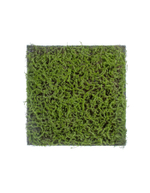 Мох Сфагнум Fuscum зелёный (полотно на подложке) 50х50 см 12/48 20.0820411S