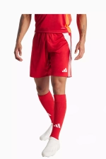 Шорты adidas Tiro 24 Training