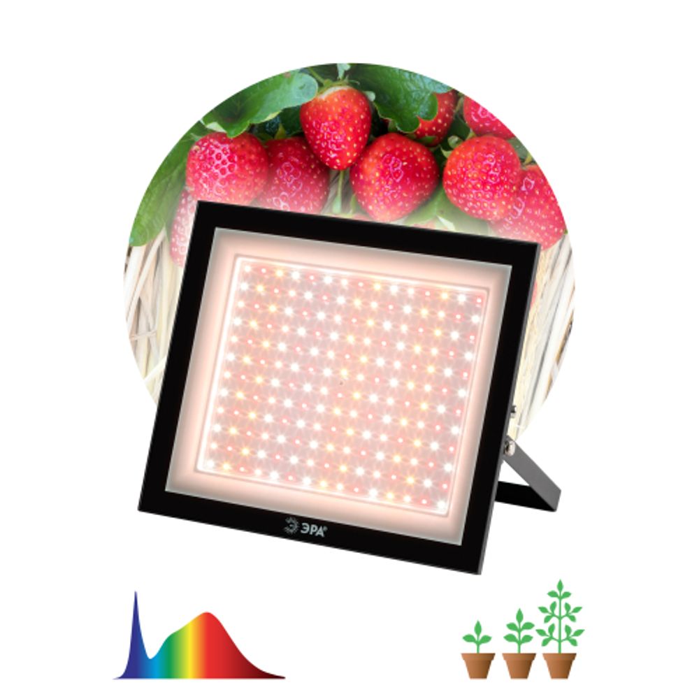 Фитопрожектор для растений светодиодный ЭРА FITO-100W-Ra90-LED для цветения и плодоношения полного спектра 100 Вт | Фито прожекторы