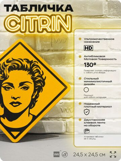 Табличка декоративная "Мадонна, Madonna" на дверь и стену, прикольная штука в подарок, декоративный знак, 24,5х24,5 см, пластиковая, Айдентика Технолоджи