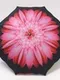 Зонт механический «Цветок», 4 сложения, 8 спиц, R = 47 см, рисунок МИКС