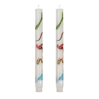 Свеча Stern Snakes White set of 2 14089S
