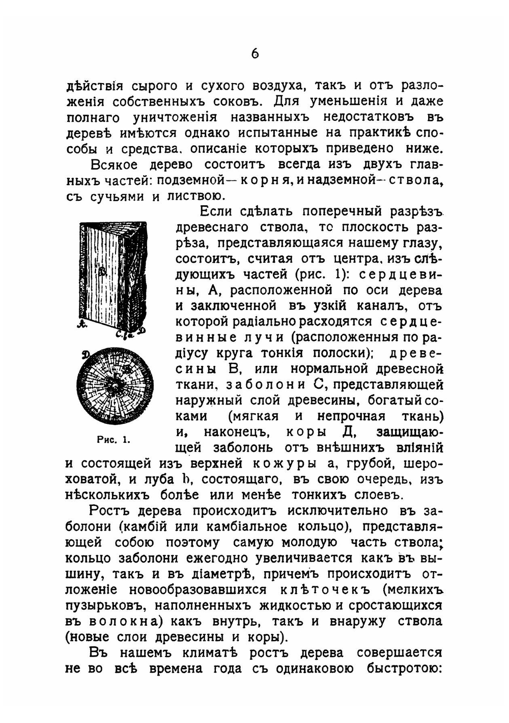 Деревянные дома-дачи | Папенгут Александр Фердинандович