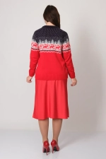 Джемпер С 849/ красно-синий