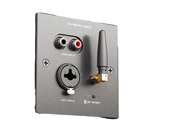 CVGAUDIO PW/EX-IN/BL универсальная настенная панель для удаленного подключения балансного микрофона MIC IN