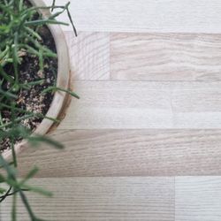 ЛАМИНАТ ALLOC 05123 ЯСЕНЬ БЕЛЫЙ