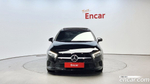 Mercedes-Benz A-Class W177 A250 4MATIC Sedan (09.2020)