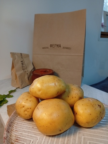 Картофель жёлтый Лисана