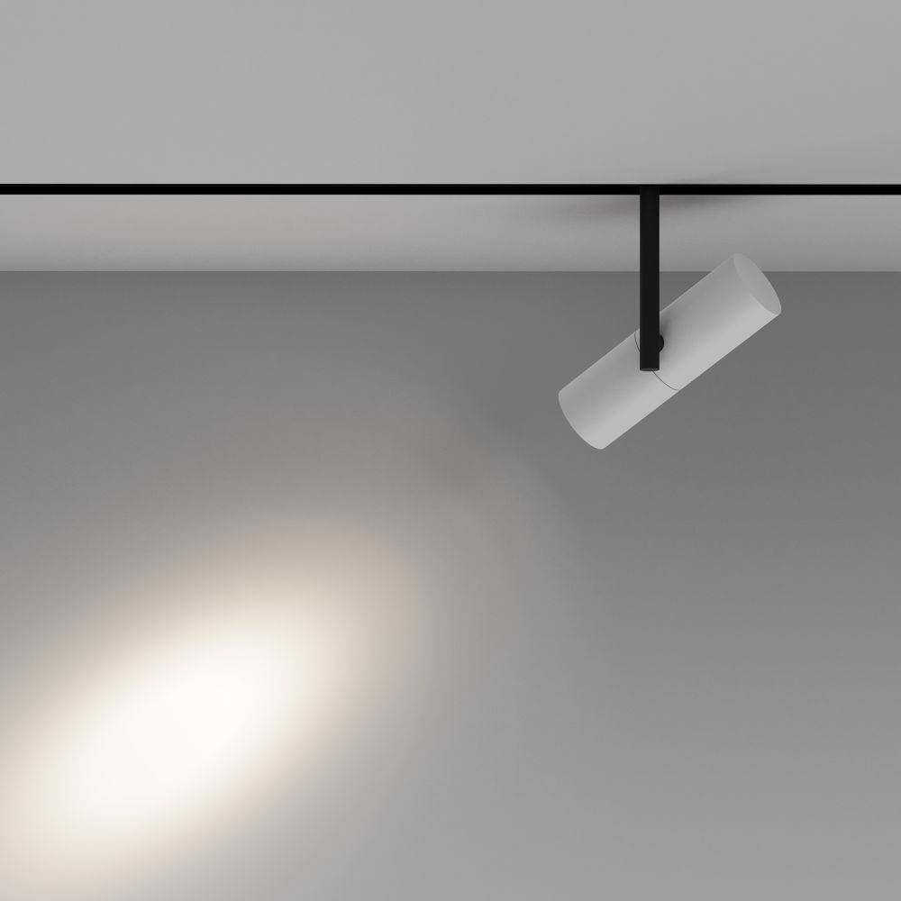 Трековый светильник Maytoni Exility Elti TR005-2-12W4K-BW