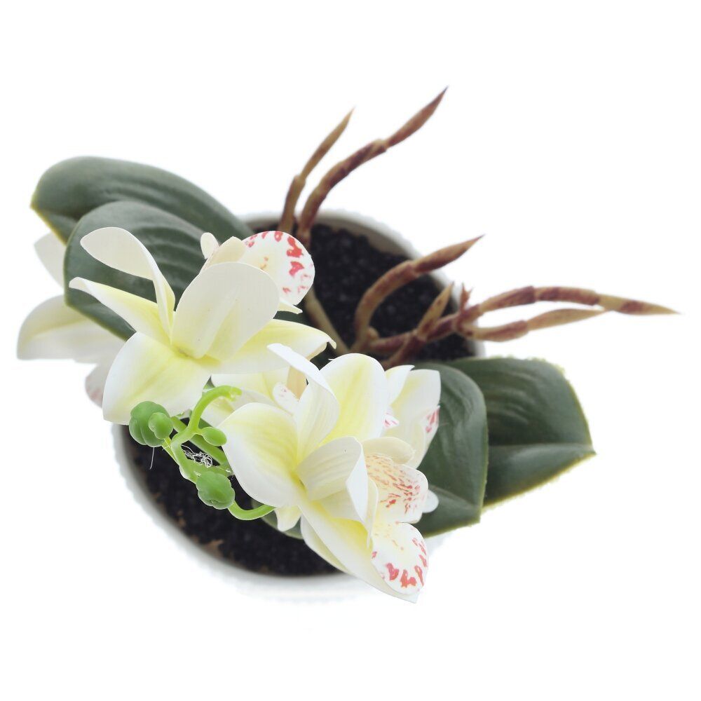 GAEM Цветочная композиция "Орхидея", L13 W12 H29 см