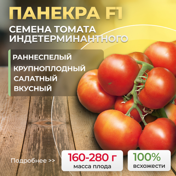ПАНЕКРА_F1_семена_томата_Syngenta_купить_оптом