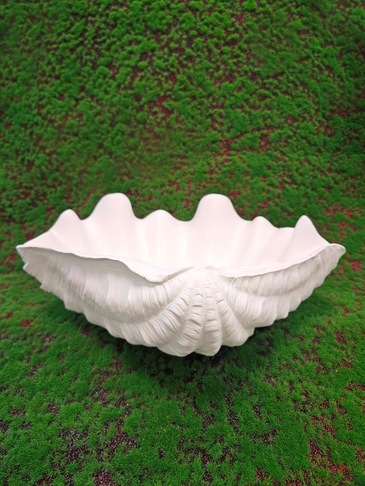 Кашпо Ракушка Тридакна