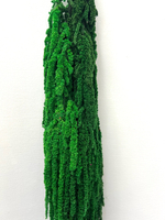 Амарант Изумруд